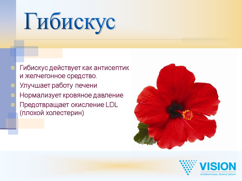 Гибискус Гибискус действует как антисептик и желчегонное средство. Улучшает работу печени Нормализует кровяное давление